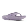 'OOFOS' Women's OOriginal Thong - Mauve 1 'OOFOS' Women's OOriginal Thong - Mauve -OOfos 1000MAUVE shot1 1024x1024@2x